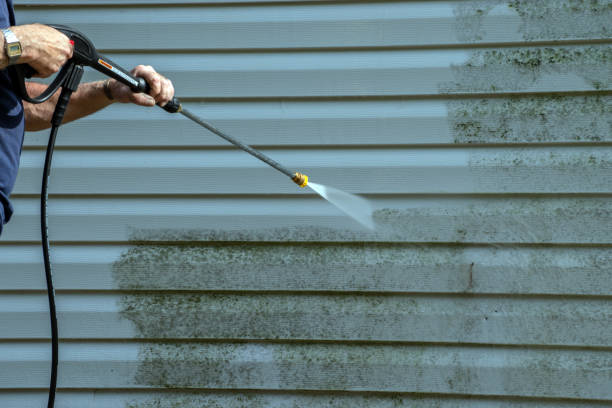 Best Pressure Washing Driveway  in Wright, WY